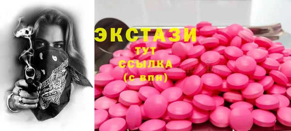 гашик Алексин