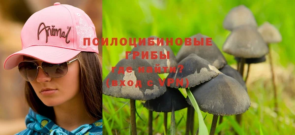 mdpv Алзамай