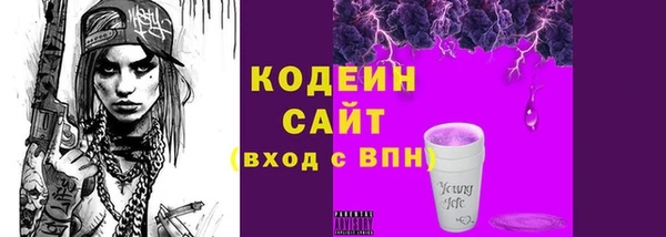 гашик Алексин