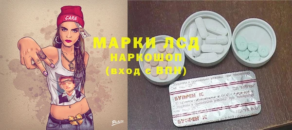 гашик Алексин