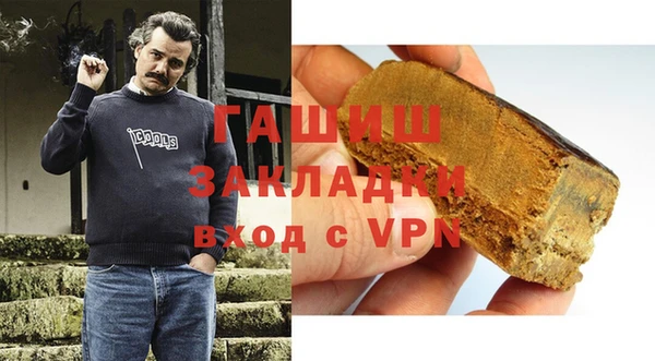 гашик Алексин