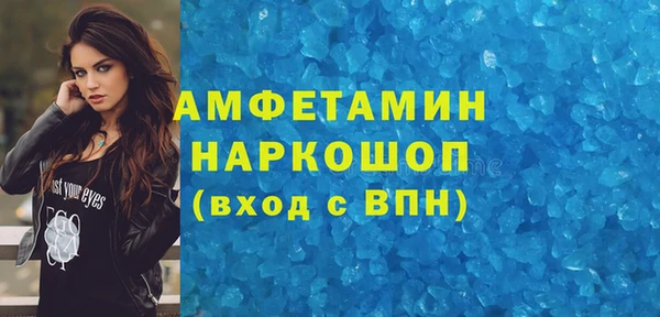 гашик Алексин