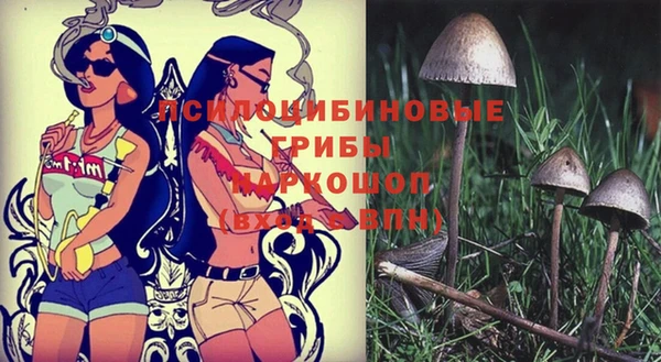 spice Алексеевка